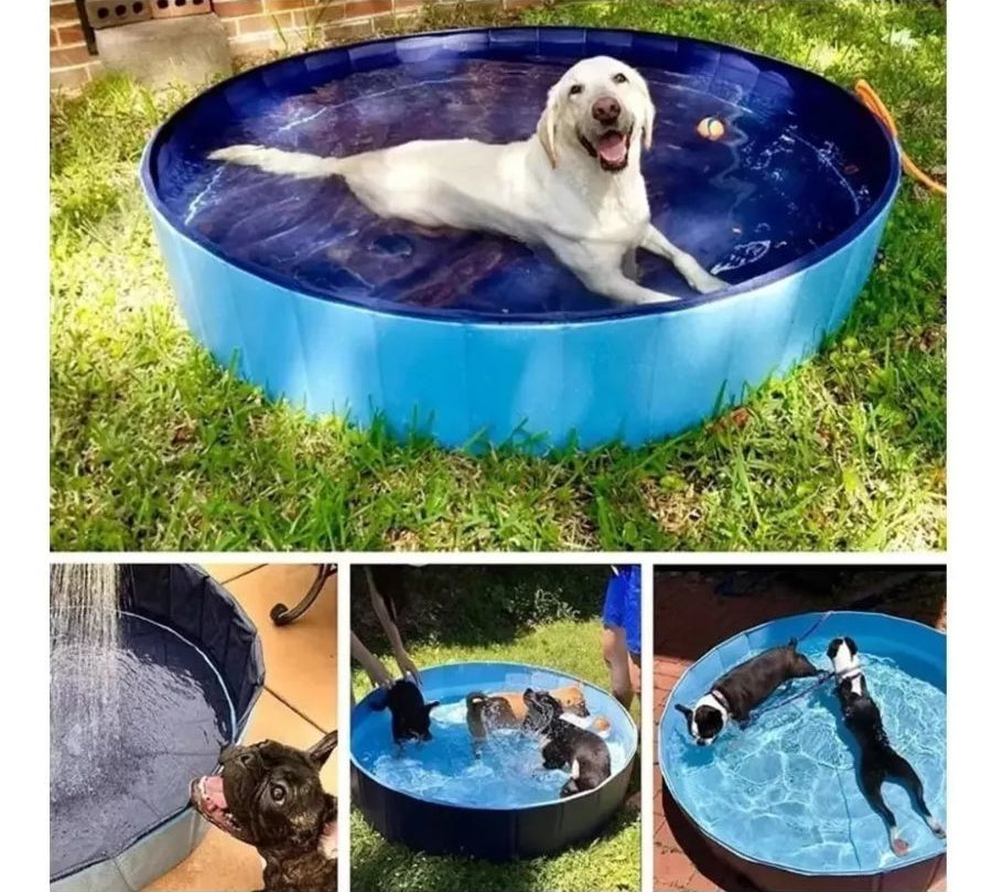 Piscina Ultra Resistente para Perros 🐶 de 80 x 30 cm, hecha de PVC duradero, con drenaje fácil y diseño plegable. ¡Diversión y frescura para tu mascota!