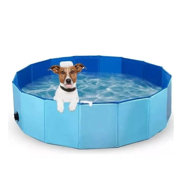 Piscina para perros resistente y portátil, diversión en verano bpets.cl