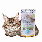 PlaqueOff Dental Bites Snack Gato 60gr, snack 100% natural que combate sarro, placa y mal aliento con alga activa. Delicioso y fácil de usar.