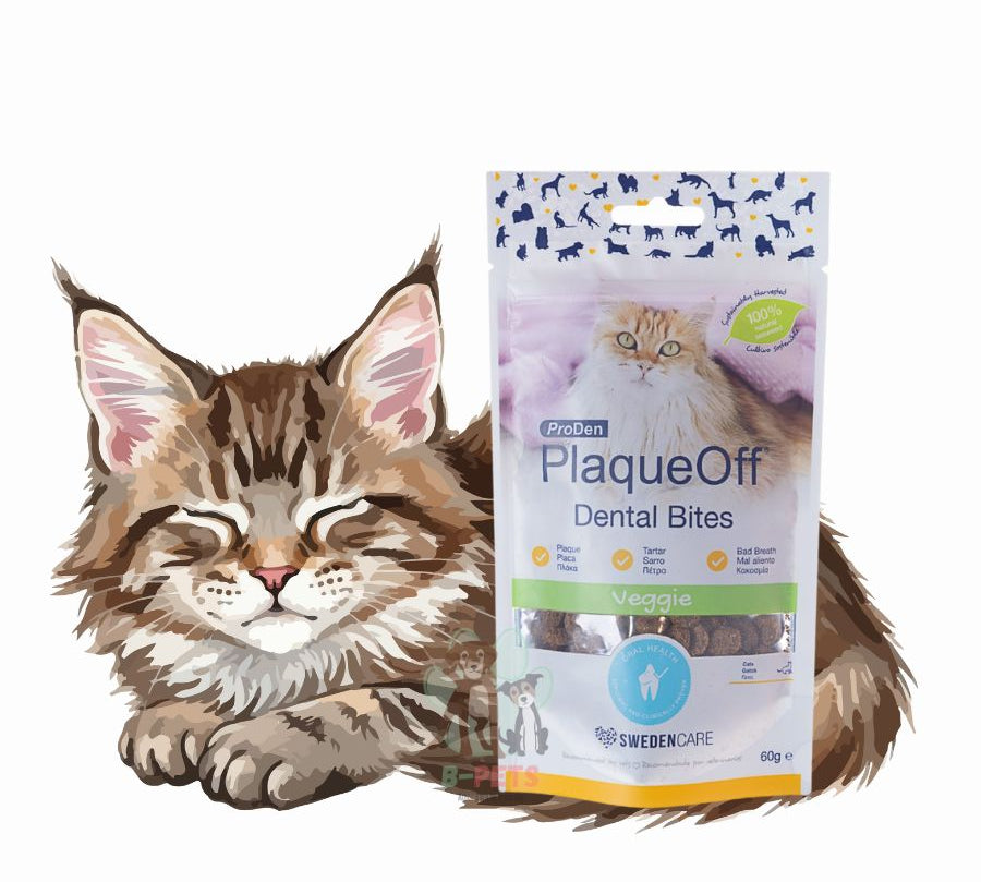 PlaqueOff Dental Bites Snack Gato 60gr, snack 100% natural que combate sarro, placa y mal aliento con alga activa. Delicioso y fácil de usar.