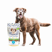 PlaqueOff Dental Bites Snack Perro 60gr, snack 100% natural que combate placa y sarro con alga activa. Delicioso y fácil de administrar.