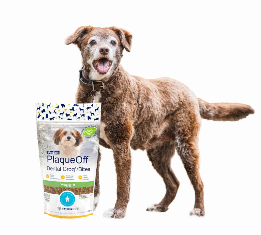 PlaqueOff Dental Bites Snack Perro 60gr, snack 100% natural que combate placa y sarro con alga activa. Delicioso y fácil de administrar.