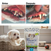 PlaqueOff Dental Bites Snack Perro 60gr, snack 100% natural que combate placa y sarro con alga activa. Delicioso y fácil de administrar.