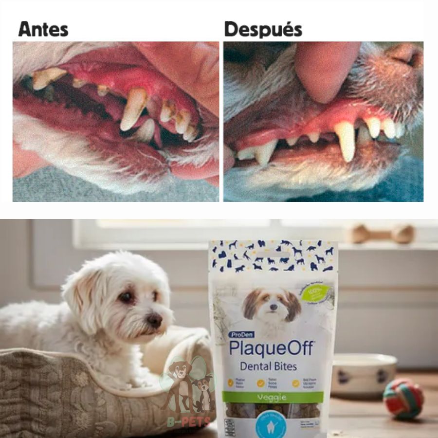 PlaqueOff Dental Bites Snack Perro 60gr, snack 100% natural que combate placa y sarro con alga activa. Delicioso y fácil de administrar.