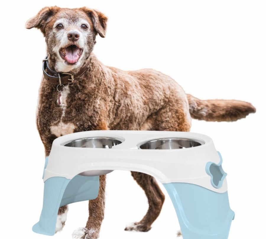 Plato Doble con Pedestal: Diseño ergonómico para perros medianos y grandes. Elevación para una digestión saludable y comodidad al comer. Base antideslizante.