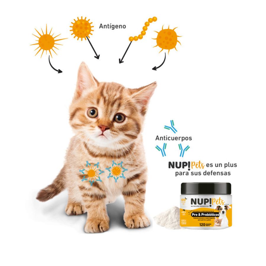 Suplemento pre y probiótico para mascotas sabor pollo - Beneficios y composición bpets.cl