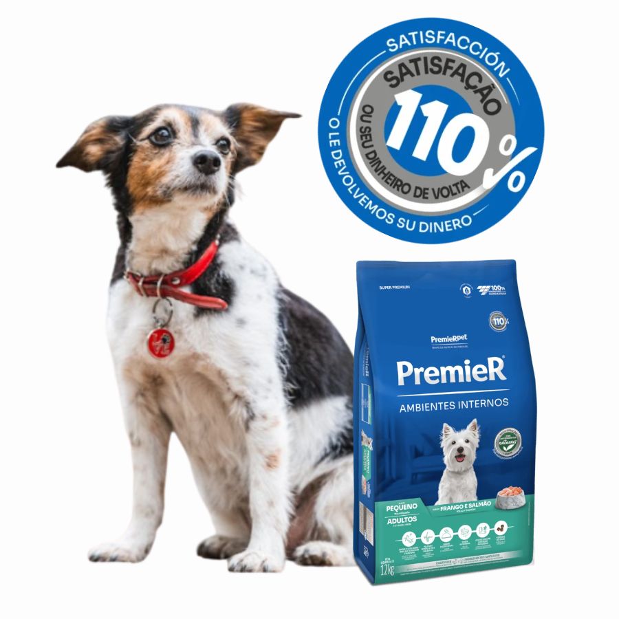 PremieR Ambientes Internos Perro Raza Pequeña Pollo y Salmón 🐶🍣, alimento Super Premium con proteínas nobles y digestión mejorada. Menor olor y volumen de heces.