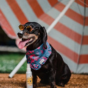 Protector Solar CoolPet SFP 30 🌞, alta protección UVB/UVA para pieles sensibles. Ideal para perros, gatos y animales exóticos. 🐾