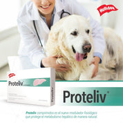 Proteliv 21  suplemento hepático natural para perros y gatos. Protege el hígado, reduce la inflamación y mejora la función hepática sin efectos secundarios.
