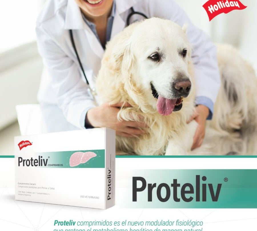 Proteliv 21  suplemento hepático natural para perros y gatos. Protege el hígado, reduce la inflamación y mejora la función hepática sin efectos secundarios.