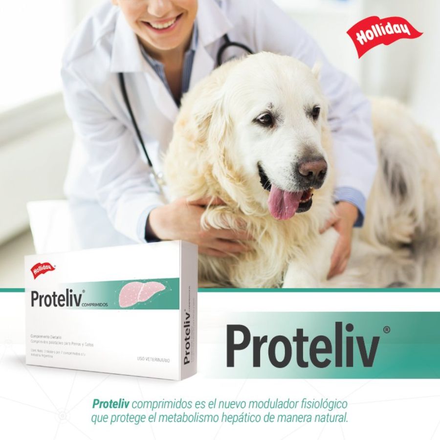Proteliv 21  suplemento hepático natural para perros y gatos. Protege el hígado, reduce la inflamación y mejora la función hepática sin efectos secundarios.