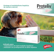 Proteliv 21  suplemento hepático natural para perros y gatos. Protege el hígado, reduce la inflamación y mejora la función hepática sin efectos secundarios.