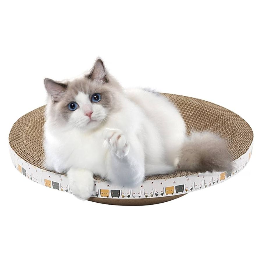 Rascador Cuenco Talla M para Gatos, duradero y cómodo, con diseño circular que satisface las necesidades de rascado y descanso de tu felino.