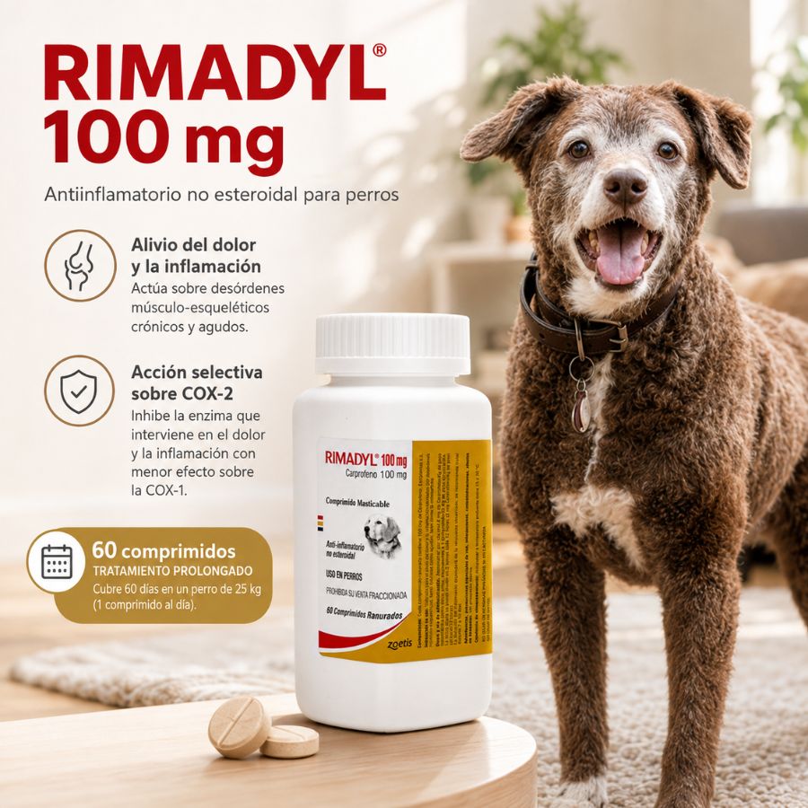 Infografía de Rimadyl 100 mg de 60 comprimidos con perro senior: alivio del dolor articular y 60 días de tratamiento
