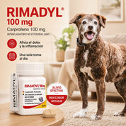 Infografía de Rimadyl 100 mg con perro senior: alivia el dolor y la inflamación articular en una sola toma diaria