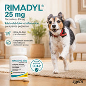 Infografía de Rimadyl 25 mg con perro pequeño: alivio del dolor y la inflamación con dosificación para razas chicas