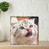 Roca Fotográfica Cuadrada Personalizada - Recuerdo Único de tu Mascota 🐾❤️