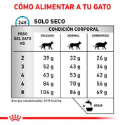 Royal Canin Anallergenic Gato 2Kg es ideal para gatos adultos con alergias o intolerancias alimentarias, ofreciendo una dieta equilibrada con proteínas altamente digestibles y un complejo de antioxidantes para una salud óptima.
