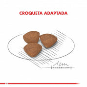 Royal Canin Mini Puppy 1Kg: Alimento para cachorros de razas pequeñas hasta 10 meses. Apoya el desarrollo muscular y óseo, alta palatabilidad, digestión óptima, soporte inmunológico y salud dental.