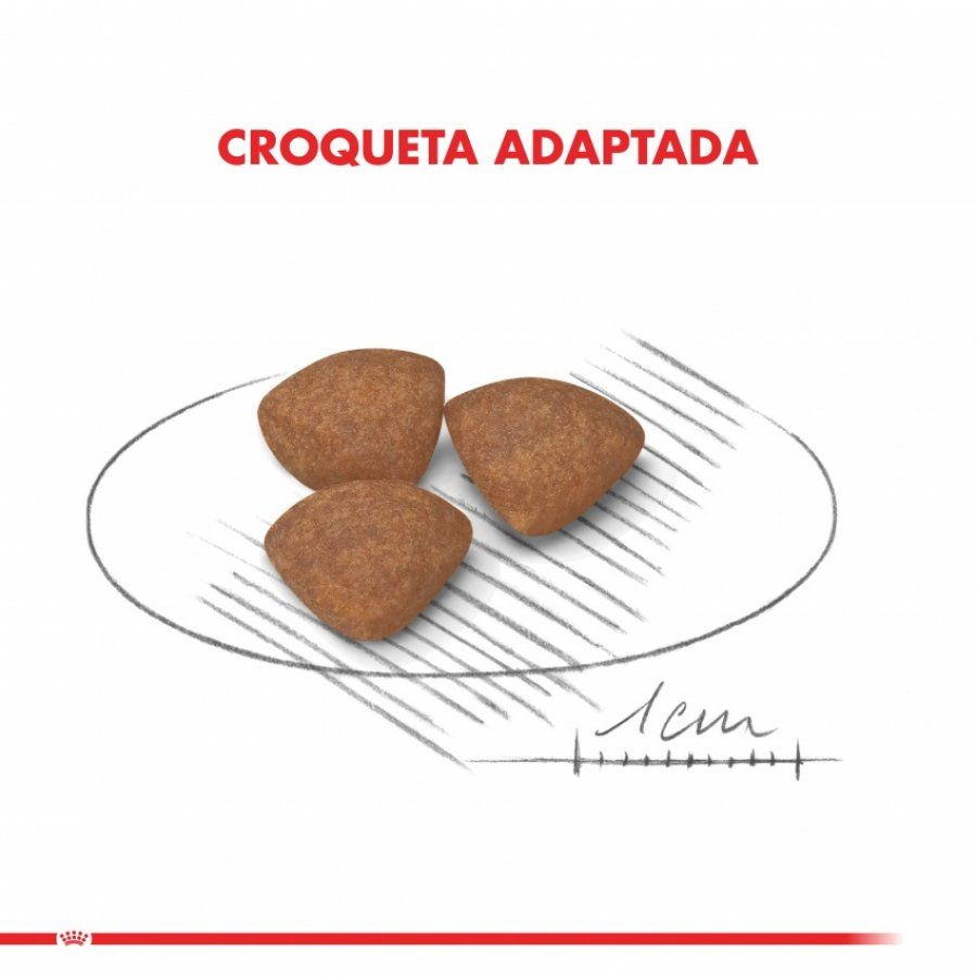 Royal Canin Mini Puppy 1Kg: Alimento para cachorros de razas pequeñas hasta 10 meses. Apoya el desarrollo muscular y óseo, alta palatabilidad, digestión óptima, soporte inmunológico y salud dental.