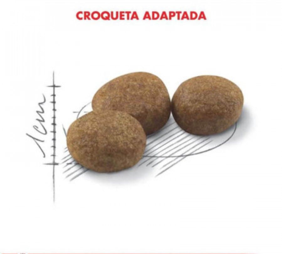 Royal Canin Adulto Castrado Feline 1.5kg: Alimento para gatos esterilizados, controla el peso y apoya la salud urinaria y digestiva. Rico en proteínas, moderado en grasas. 🐱🍲🐾