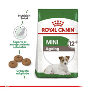 Royal Canin Mini Ageing 12+ 🐶 es ideal para perros pequeños mayores de 12 años. Combate el envejecimiento celular y favorece la salud renal y cardíaca.