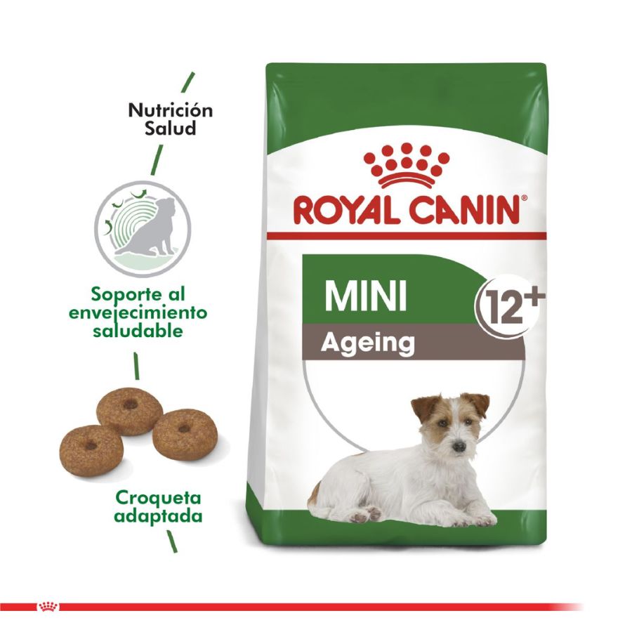 Royal Canin Mini Ageing 12+ 🐶 es ideal para perros pequeños mayores de 12 años. Combate el envejecimiento celular y favorece la salud renal y cardíaca.