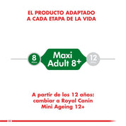 Royal Canin Adulto Mini 8+ 3Kg 🐶🧬, alimento para perros pequeños de más de 8 años, con antioxidantes y L-carnitina para vitalidad y peso ideal.
