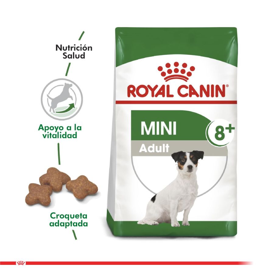 Royal Canin Adulto Mini 8+ 3Kg 🐶🧬, alimento para perros pequeños de más de 8 años, con antioxidantes y L-carnitina para vitalidad y peso ideal.