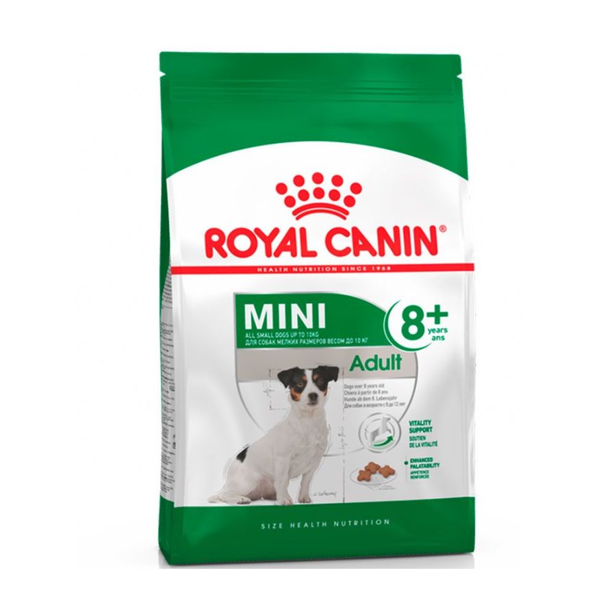 Royal Canin Adulto Mini 8+ 3Kg 🐶🧬, alimento para perros pequeños de más de 8 años, con antioxidantes y L-carnitina para vitalidad y peso ideal.