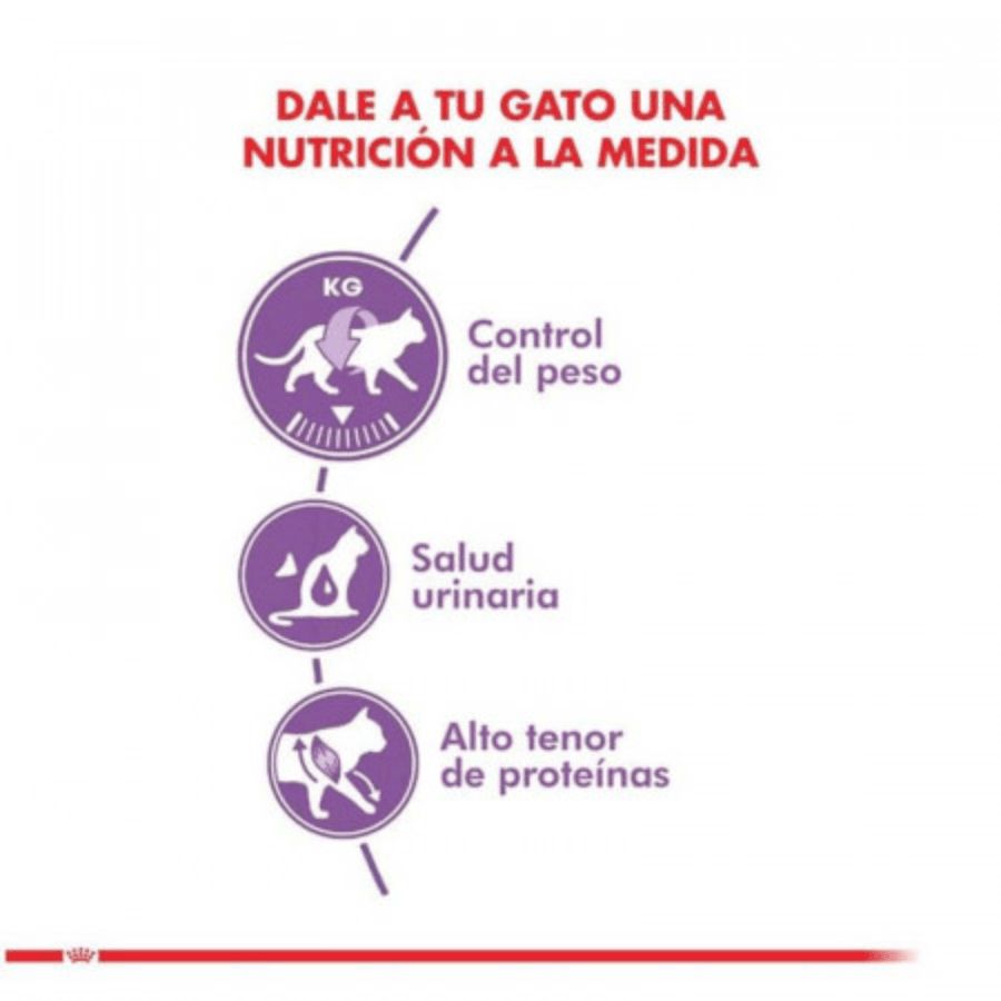 Royal Canin Adulto Castrado Feline 4kg: Alimento para gatos esterilizados, controla el peso y apoya la salud urinaria y digestiva. Rico en proteínas, moderado en grasas.