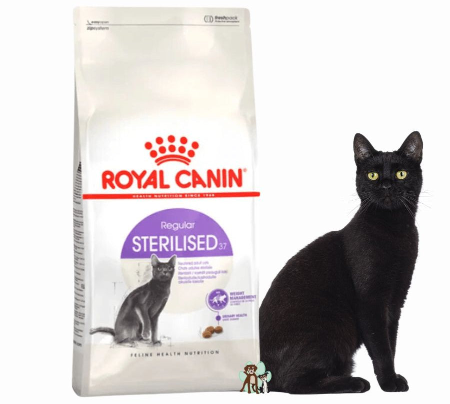 Royal Canin Adulto Castrado Feline 4kg: Alimento para gatos esterilizados, controla el peso y apoya la salud urinaria y digestiva. Rico en proteínas, moderado en grasas.