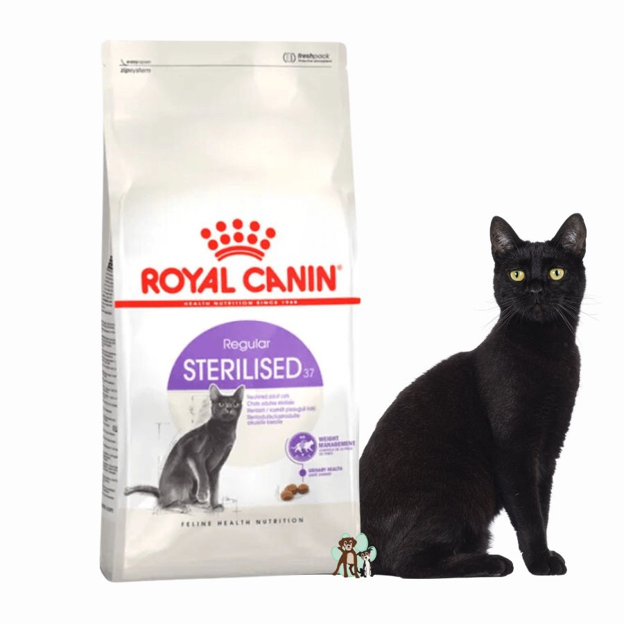 Royal Canin Adulto Castrado Feline 4kg: Alimento para gatos esterilizados, controla el peso y apoya la salud urinaria y digestiva. Rico en proteínas, moderado en grasas.