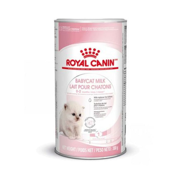 Con Royal Canin Babycat Milk – Leche para Gatitos 300 Gr, tu gatito disfrutará de un inicio saludable y nutritivo en la vida, replicando la leche materna y enriquecida con DHA para el desarrollo cognitivo y visual.