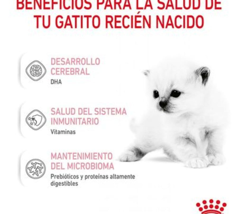 Con Royal Canin Babycat Milk – Leche para Gatitos 300 Gr 🐱🍼, tu gatito disfrutará de un inicio saludable y nutritivo en la vida, replicando la leche materna y enriquecida con DHA para el desarrollo cognitivo y visual.