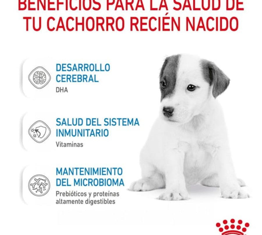 Royal Canin Babydog Milk - Leche para Cachorros 400G: ideal para cachorros de 0-2 meses, fácil de disolver, rica en DHA, favorece la digestión y el sistema inmunitario. 🐶🥛
