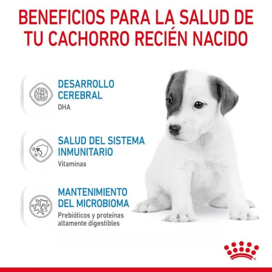 Royal Canin Babydog Milk - Leche para Cachorros 400G: ideal para cachorros de 0-2 meses, fácil de disolver, rica en DHA, favorece la digestión y el sistema inmunitario. 🐶🥛