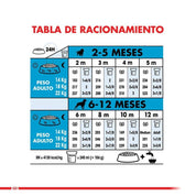 Royal Canin Medium Puppy 12KG: Alimento completo para cachorros de raza mediana, apoya crecimiento, desarrollo muscular y óseo, salud digestiva e inmunológica. Ingredientes de alta calidad.