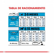 Royal Canin Mini Puppy 1Kg: Alimento para cachorros de razas pequeñas hasta 10 meses. Apoya el desarrollo muscular y óseo, alta palatabilidad, digestión óptima, soporte inmunológico y salud dental.