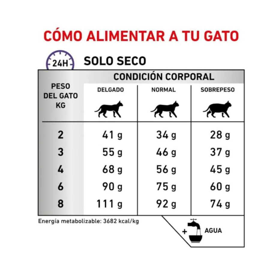 Royal Canin Calm Feline 2 KG ayuda a reducir el estrés en gatos, con triptófano y casozepina. Favorece la piel, digestión y equilibrio emocional.