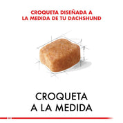 Royal Canin Dachshund Adulto 2,5Kg, con glucosamina y antioxidantes, cuida sus articulaciones, músculos y digestión para una vida activa y saludable. B-Pets