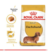 Royal Canin Dachshund Adulto 2,5Kg, con glucosamina y antioxidantes, cuida sus articulaciones, músculos y digestión para una vida activa y saludable. B-Pets