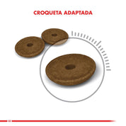 Royal Canin Digestive Care: Alimento para gatos con sensibilidad digestiva. Mejora la digestión, estimula la masticación y reduce la producción de heces. Balance de minerales para salud urinaria.