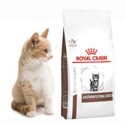Royal Canin Gastrointestinal Kitten 400gr, ideal para gatitos con digestión sensible. Alta energía, prebióticos y fácil rehidratación para un crecimiento saludable.