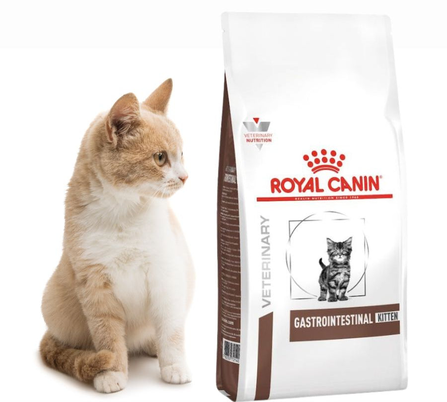 Royal Canin Gastrointestinal Kitten 400gr, ideal para gatitos con digestión sensible. Alta energía, prebióticos y fácil rehidratación para un crecimiento saludable.