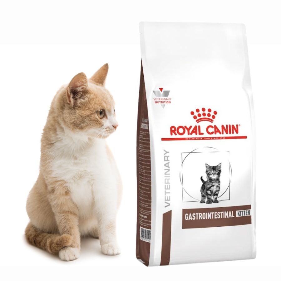 Royal Canin Gastrointestinal Kitten 400gr, ideal para gatitos con digestión sensible. Alta energía, prebióticos y fácil rehidratación para un crecimiento saludable.