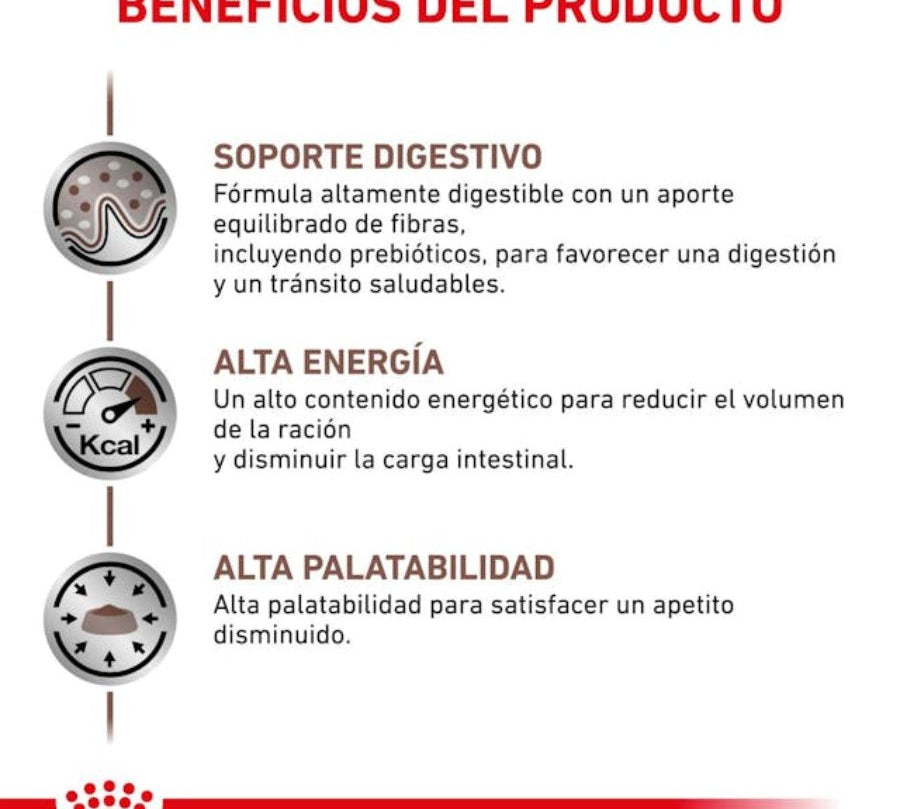 Royal Canin Gastrointestinal Gato 2kg, formulado para la salud digestiva y reducción de problemas de absorción intestinal. Alta energía y palatabilidad para gatos con sensibilidad gastrointestinal.