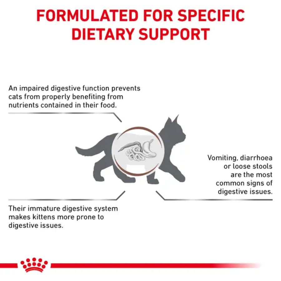 Royal Canin Gastrointestinal Kitten 2kg, ideal para gatitos con digestión sensible. Alta energía, prebióticos y fácil rehidratación para un crecimiento saludable. B-Pets