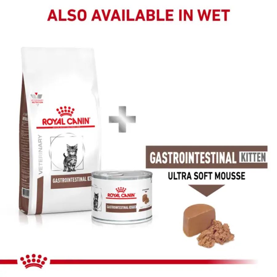 Royal Canin Gastrointestinal Kitten 2kg, ideal para gatitos con digestión sensible. Alta energía, prebióticos y fácil rehidratación para un crecimiento saludable. B-Pets