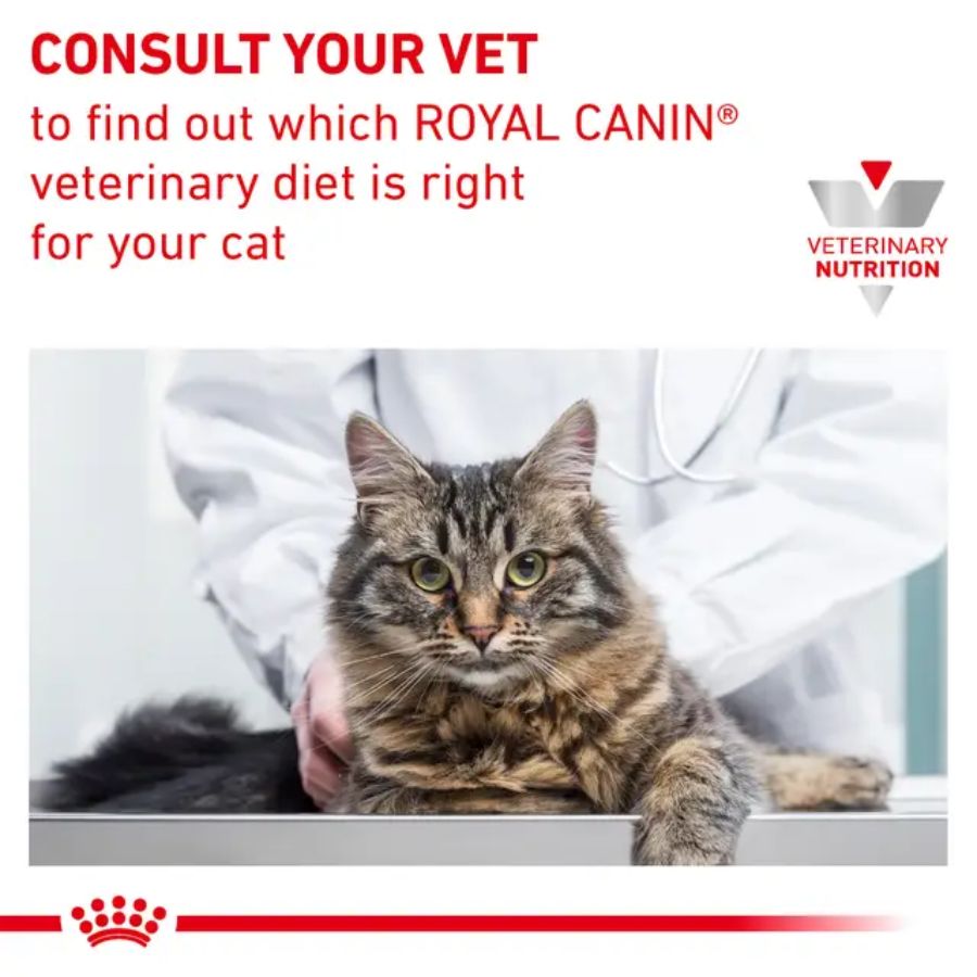 Royal Canin Gastrointestinal Kitten 2kg, ideal para gatitos con digestión sensible. Alta energía, prebióticos y fácil rehidratación para un crecimiento saludable. B-Pets
